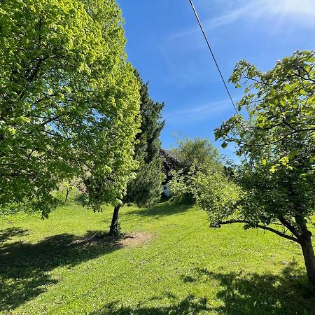 Вілла Ferienhuette Bosic Baierdorf Екстер'єр фото
